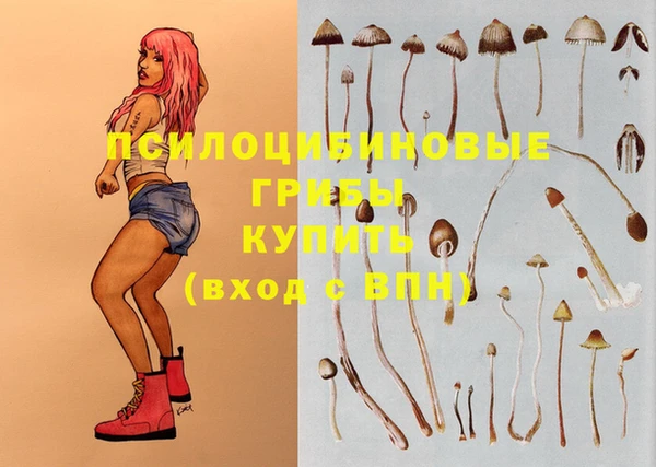 мяу мяу мука Алзамай