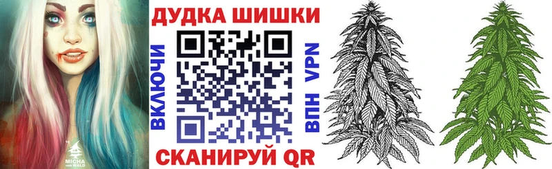 Канабис индика  Гаджиево 
